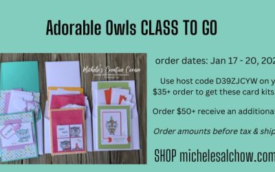 Adorable Owls Class To Go