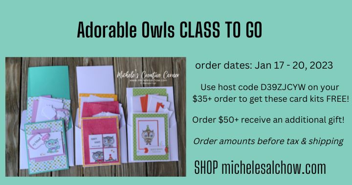 Adorable Owls Class To Go