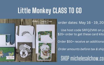 Little Monkey Class To Go